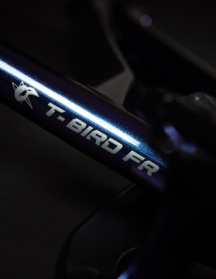 detalles T-bird FR de la Bicicleta Dartmoor Thunderbird FR Pro Single Speed