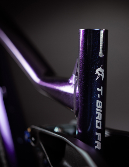 detalles del color azul cósmico de la bicicleta Bicicleta Dartmoor Thunderbird FR Pro Single Speed