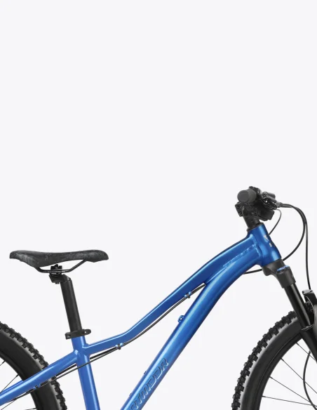 Vélo Dartmoor Sparrow Junior 26/24 de couleur bleue avec fourche à air