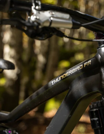 detalles Cuadro Dartmoor Thunderbird FR en color negro