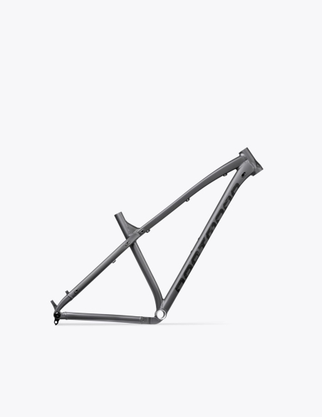 Cadre Dartmoor Primal 29 V2 gris