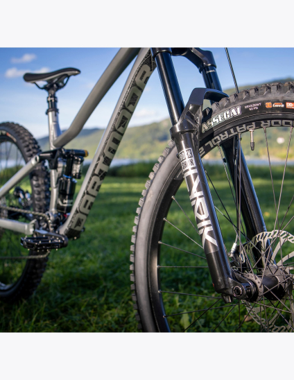 Acheter en ligne Dartmoor Rocbird Enduro EVO Bike