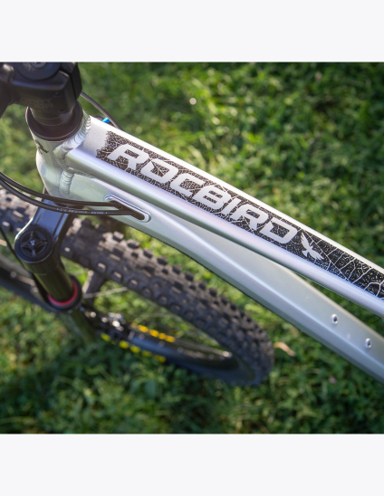 Vélo Dartmoor Rocbird Enduro EVO avec 160mm de débattement