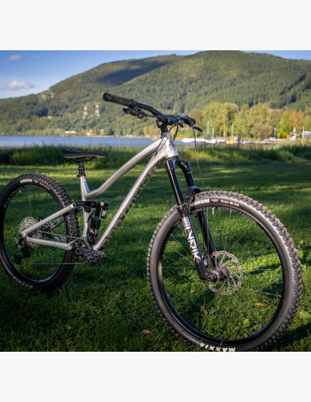 Vélo Dartmoor Rocbird Enduro EVO couleur argent