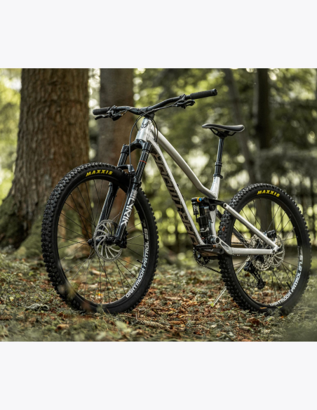 Vélo Dartmoor Rocbird Enduro EVO couleur argent