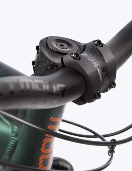 Potence Dartmoor Beetle