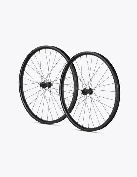 Roues Dartmoor Raven Carbon 29"