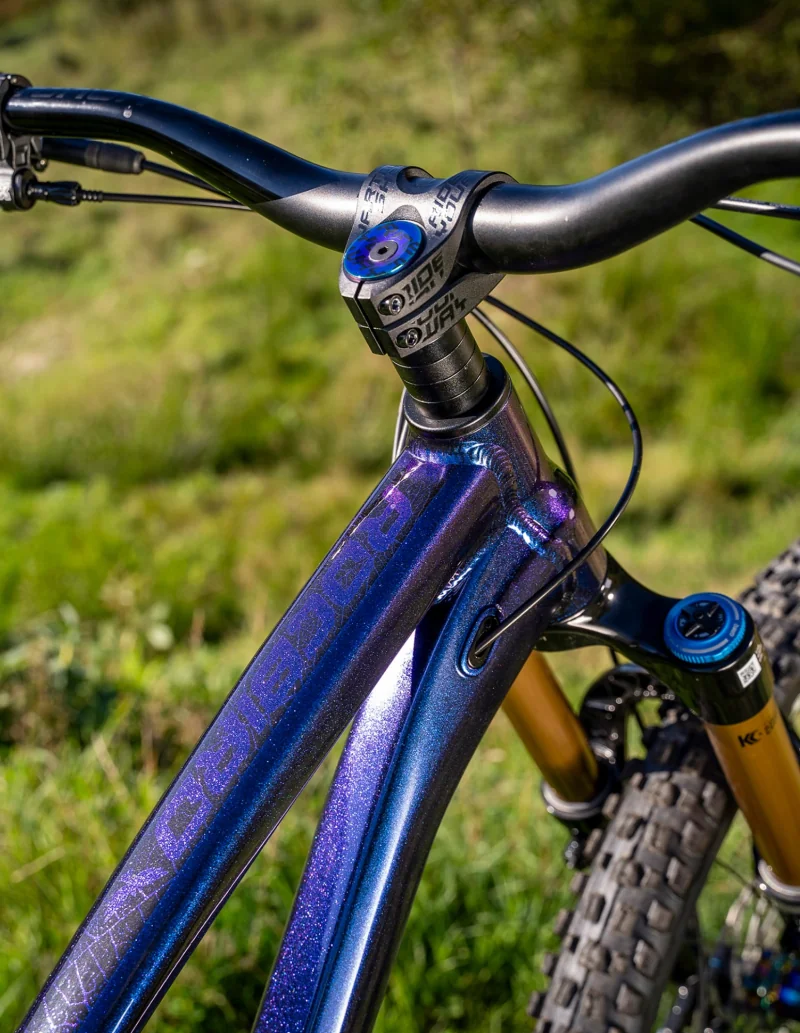 Cadre Dartmoor Rocbird 2