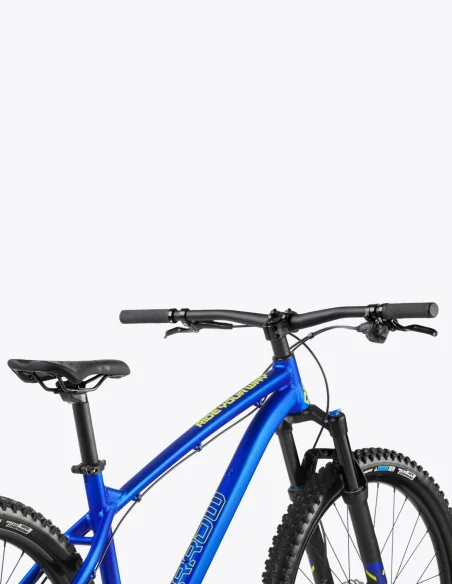 Vélo de montagne Dartmoor Sparrow Mullet