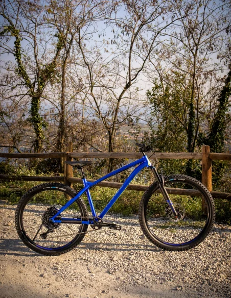 Vélo de montagne Dartmoor Sparrow Mullet Vélo de trail