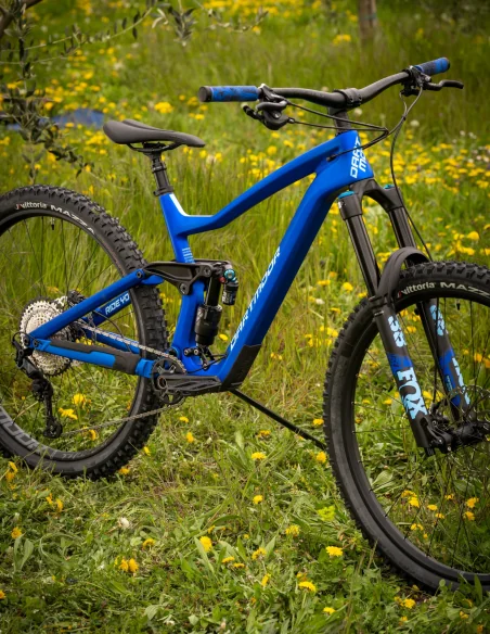 Bicicleta Dartmoor Thunderbird CF Pro color azul