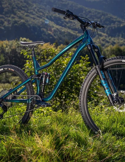 Bicicleta Dartmoor Rocbird Trail Pro de 29"