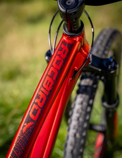 Dartmoor Rocbird Trail Evo bike