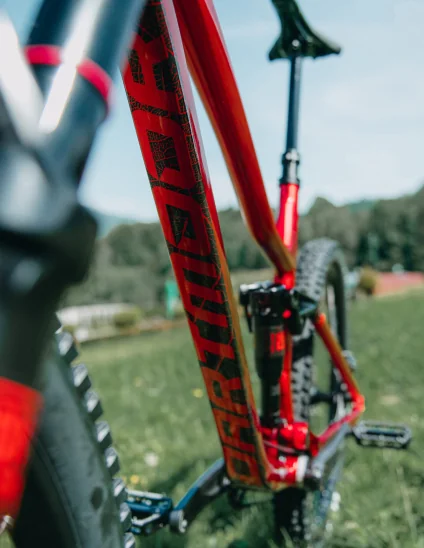 Bicicleta doble suspensión Dartmoor Rocbird Trail Evo