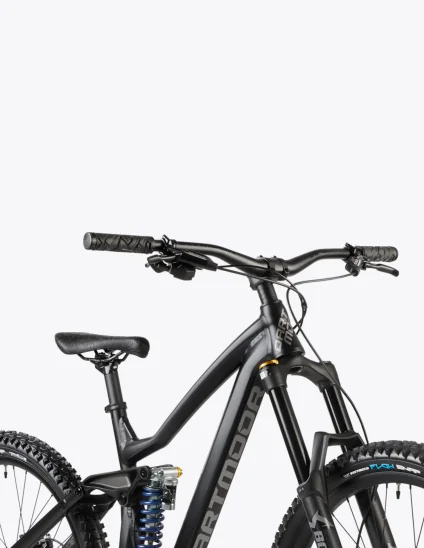 Dartmoor Thunderbird FR EVO Bike