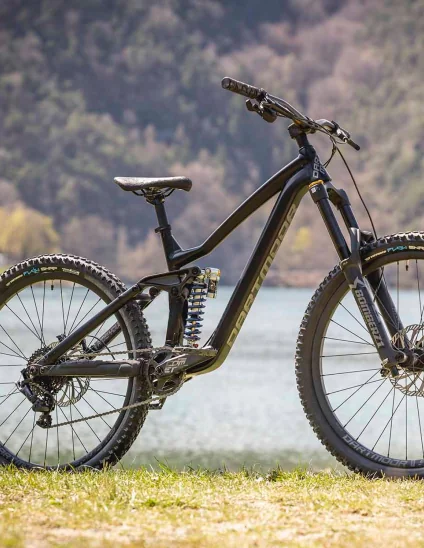 Bici Dartmoor Thunderbird FR EVO