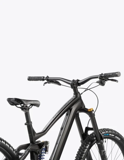 Dartmoor Thunderbird FR EVO Freeride Bike