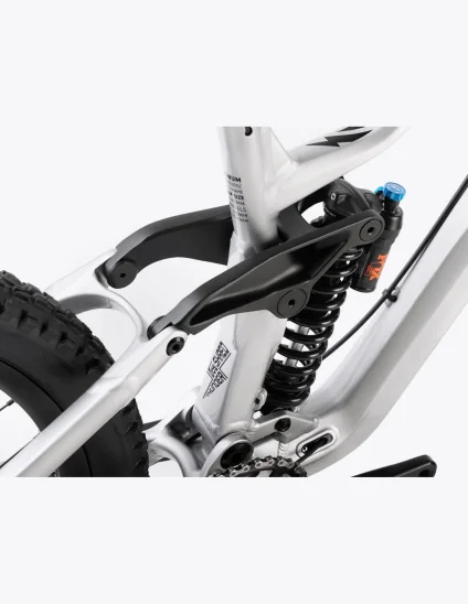 Comprar bici Dartmoor Thunderbird FR PRO