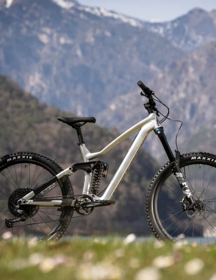 Bici Dartmoor Thunderbird FR PRO