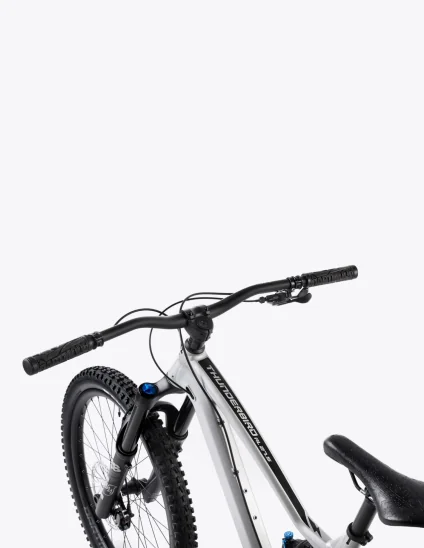 Dartmoor Thunderbird FR PRO freeride bike