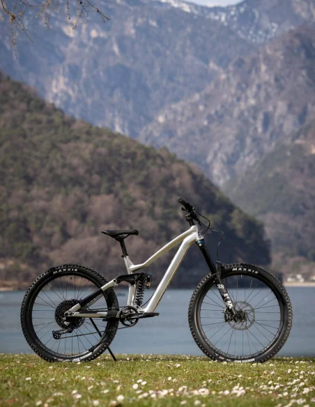 Bicicleta Dartmoor Thunderbird FR PRO plata Bicicleta Dartmoor Thunderbird FR PRO plata