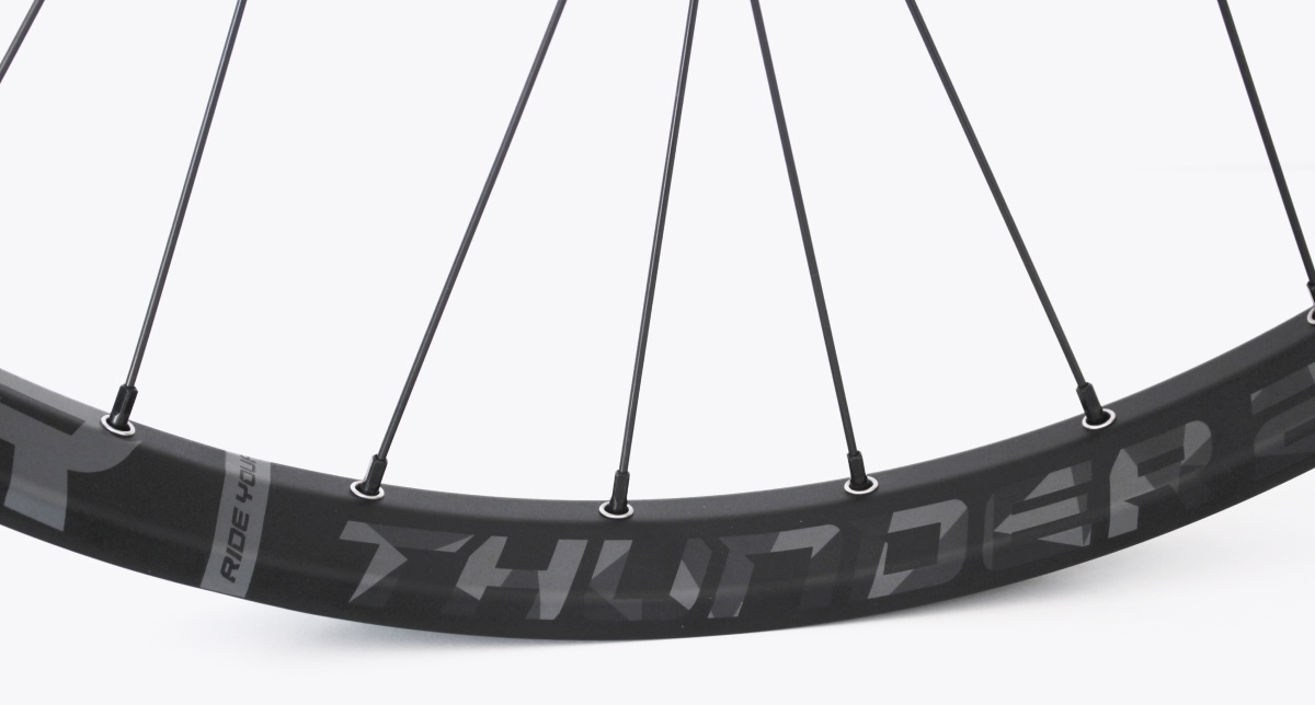 Roue arrière Dartmoor Thunder 29"